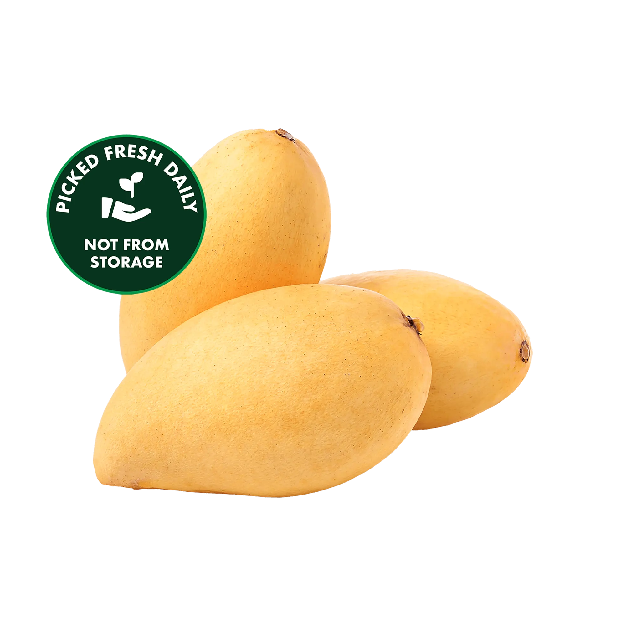 Fresh Mango (Langra) - 2kg-img