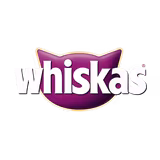 brand-icon