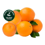 Fresh Kinnow - Half Dozen (Pack of 6)-img