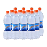Gourmet Water 600ml Pack x12-img