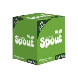 Lotte Spout Spearmint 3 in 1 Rs. 10 Box (24 Packs)-img