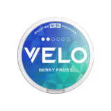 Velo Berry Frost Nano 6mg-img