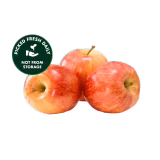 Fresh Apple (Gaja Saib) 1kg-img