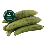 Fresh Ridge Gourd (Turai) 500g-img