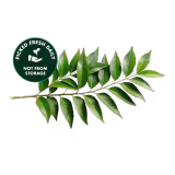 Fresh Curry Leaves (Karhi Patta) 100g-img