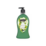 Oasis Handwash Green Apple 500ml-img