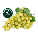 Fresh Grapes (Gola) 500g-img