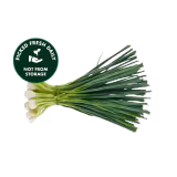 Fresh Spring Onion (Hari Piyaz) 250g-img