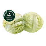 Fresh Cabbage Green (Band Gobi) (600g-800g) 1 Piece-img