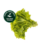 Fresh Salad Leaves 250g-img