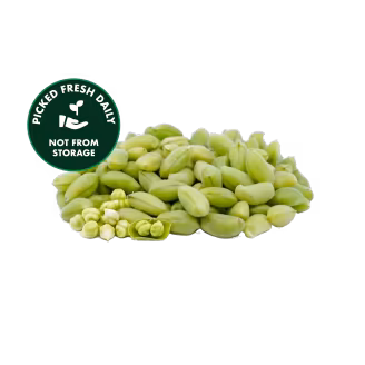 Fresh Holay Chana - 250g-img