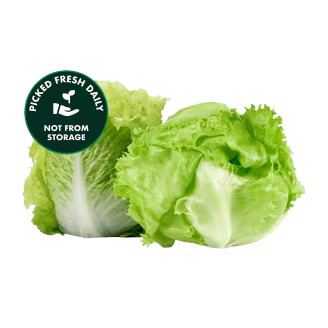 Fresh Iceberg Lettuce 1 Piece-img