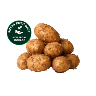 Fresh New Potato (Naya Aalu) 1kg-img