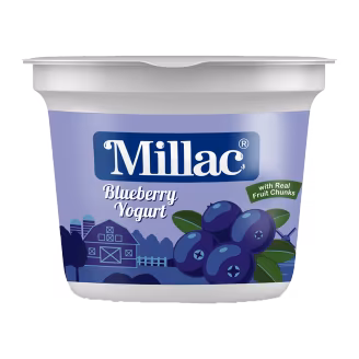 Millac Blueberry Fruit Yogurt Pack 250g-img