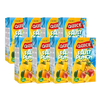 Quice Juice Fruit Punch 250ml x8-img