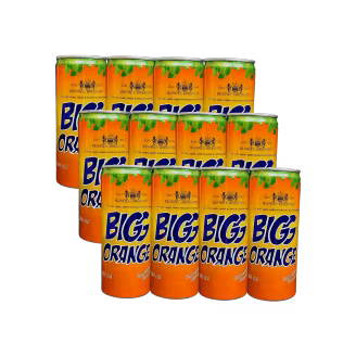 Murree Brewery Big Orange 250ml Can x 12-img