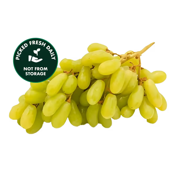 Sundar khani grapes for quick Ramadan energy