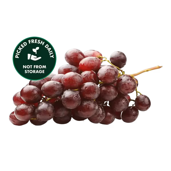 Red grapes – winter fruits in Pakistan for quick energy